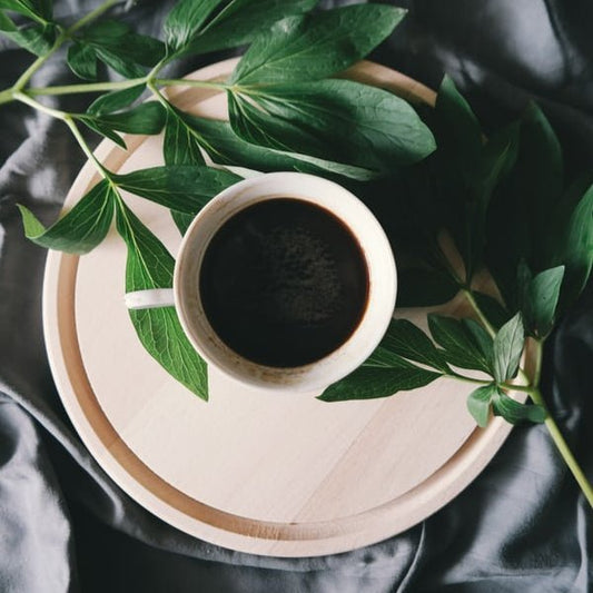 Full Body Detox Tea - THE HEALING TREE OF LIFE