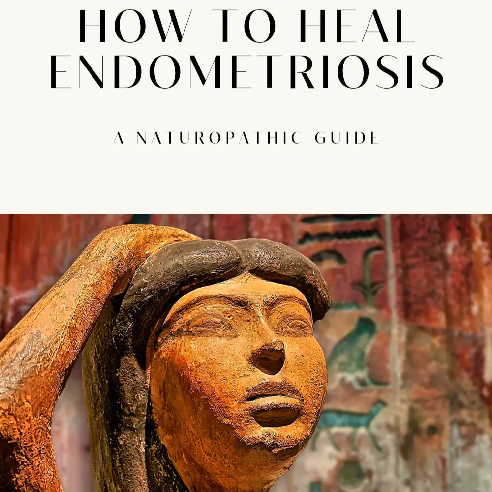 How to Heal Endometriosis Naturally eBook (pdf) THE HEALING TREE OF LIFE