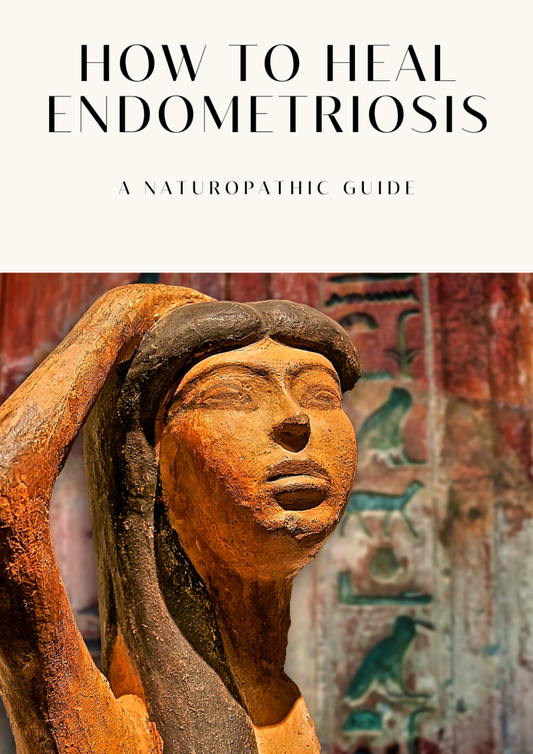 How to Heal Endometriosis Naturally |  A 6-Month Naturopathic Wellness Guide