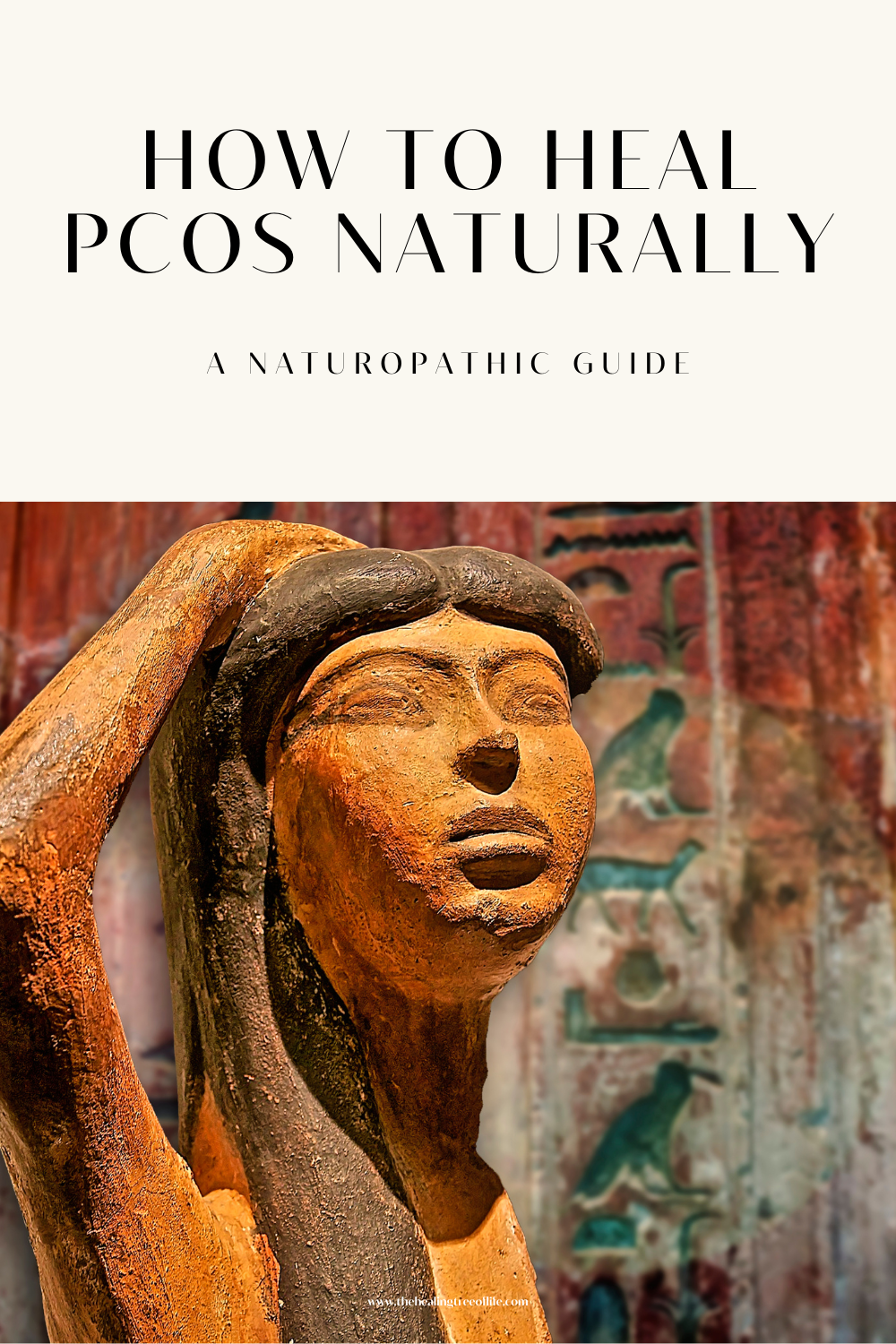How to Heal PCOS Naturally | A 6-Month Naturopathic Wellness Guide