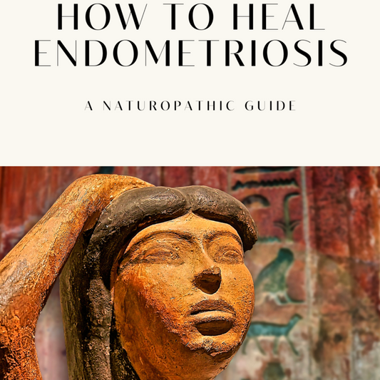 How to heal endometriosis naturally ebook cover | The Healing Tree of Life