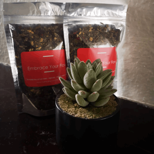 Fallopian Cleanse 2-pack Tea Refill - THE HEALING TREE OF LIFE